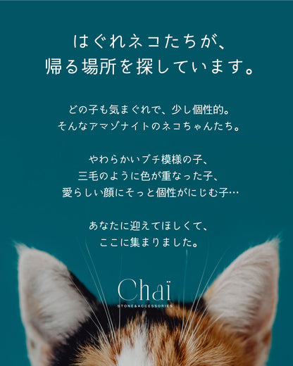 アマゾナイト はぐれネコのお迎え会