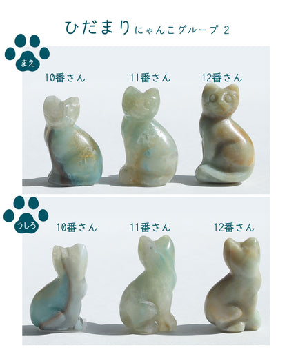 アマゾナイト はぐれネコのお迎え会