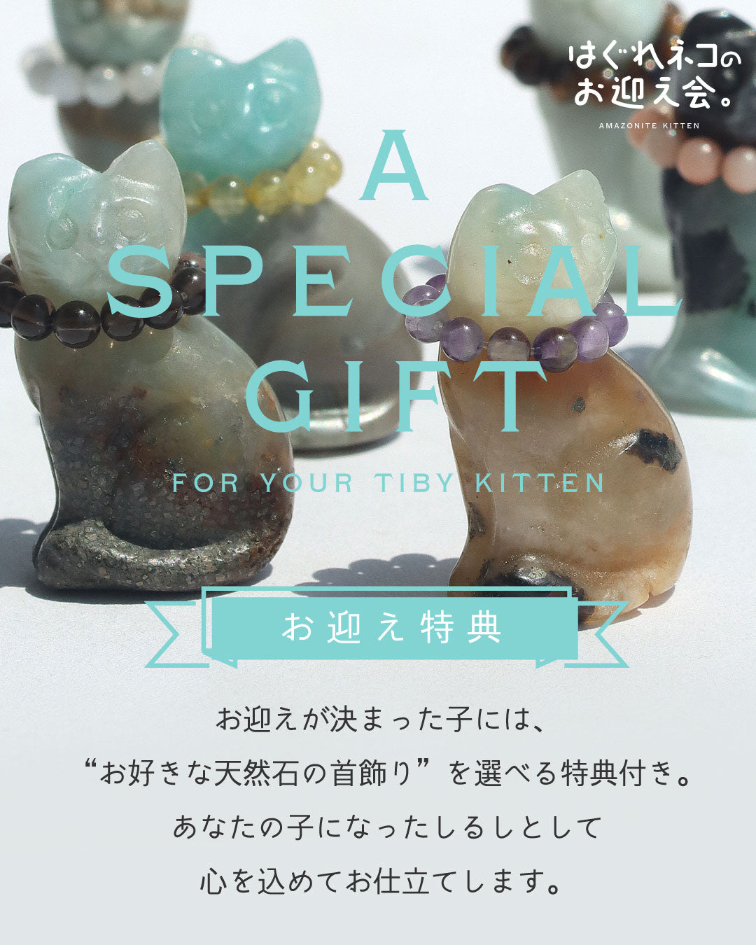 アマゾナイト はぐれネコのお迎え会