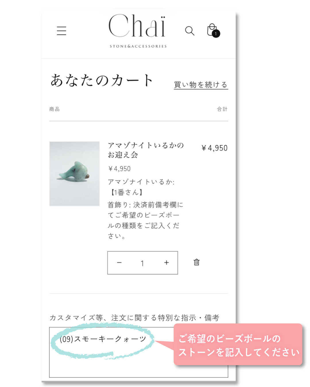 アマゾナイト イルカのお迎え会