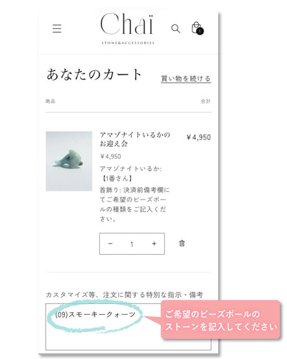アマゾナイト イルカのお迎え会
